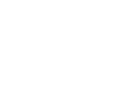 GM